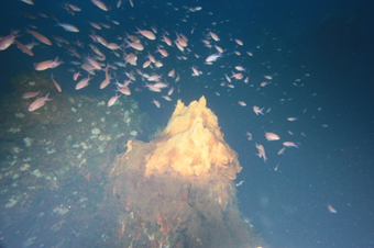 camini panarea