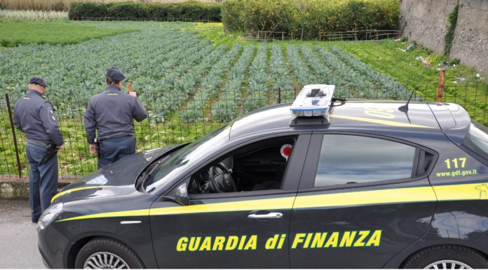 sequestro ortaggi