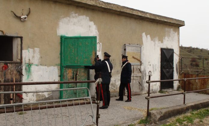 Perquisizioni San Fratello