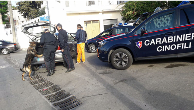carabinieri cinofili