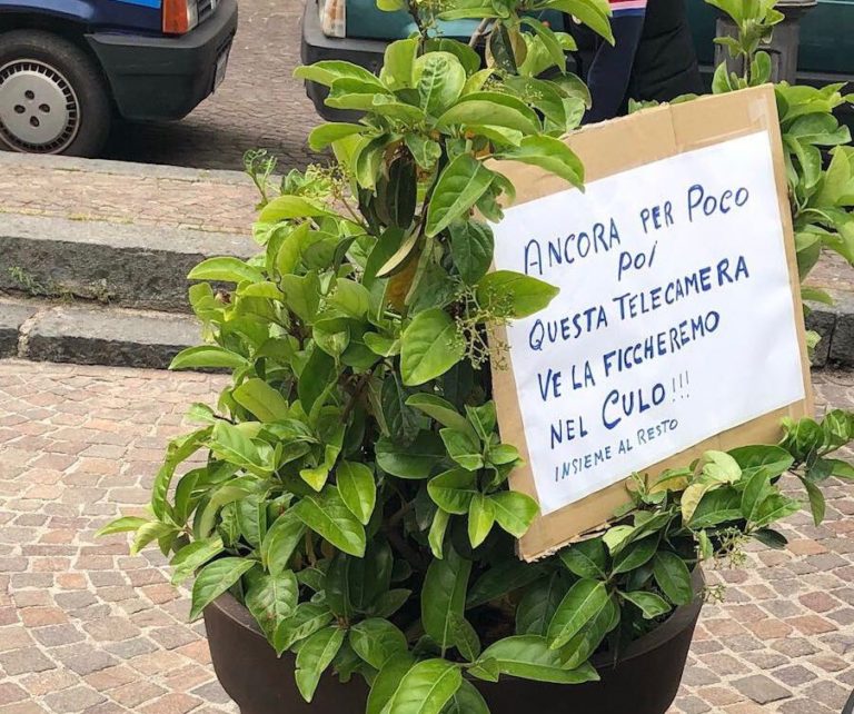Militello Rosmarino, la disputa delle piante in piazza