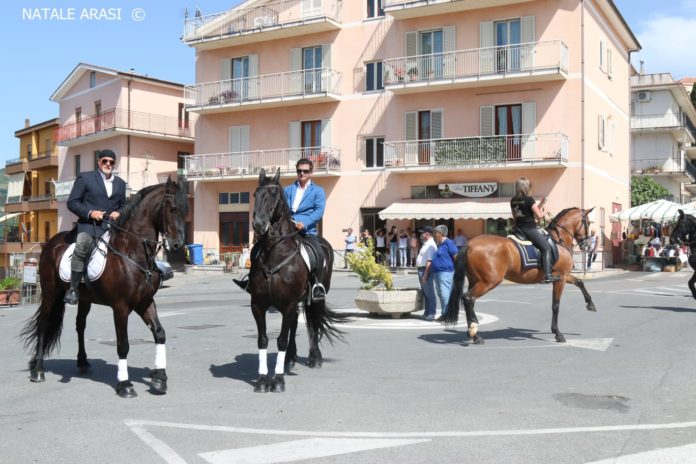 cavalli san marco
