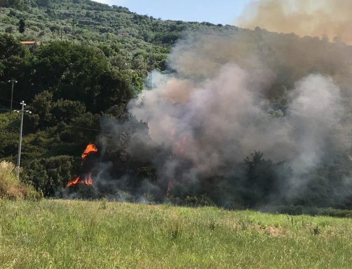 incendio mirto
