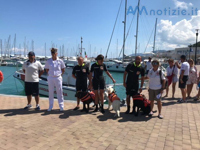 cani salvataggio porto