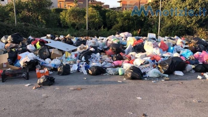 immondizia