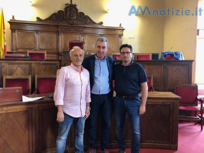consulta