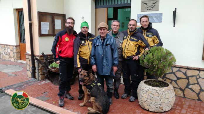 disperso