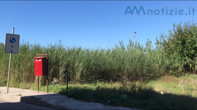 trazzera canneto