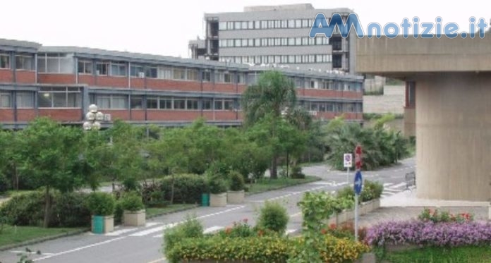 universita-scienze-papardo-783x420