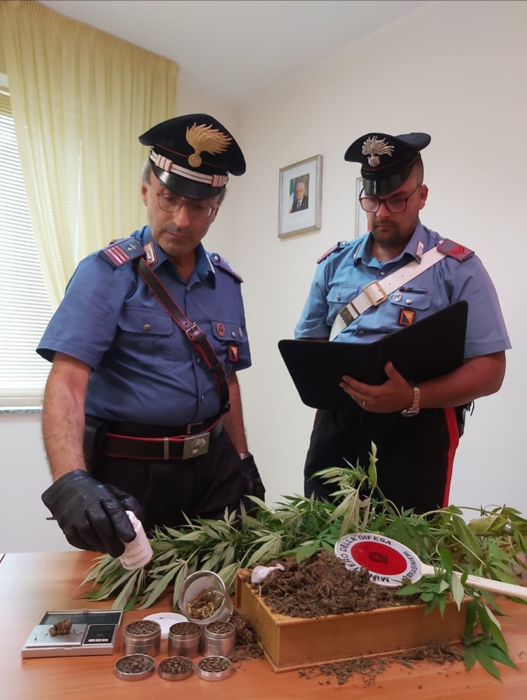 Brolo, scarcerato il 38enne accusato di coltivare cannabis per spaccio