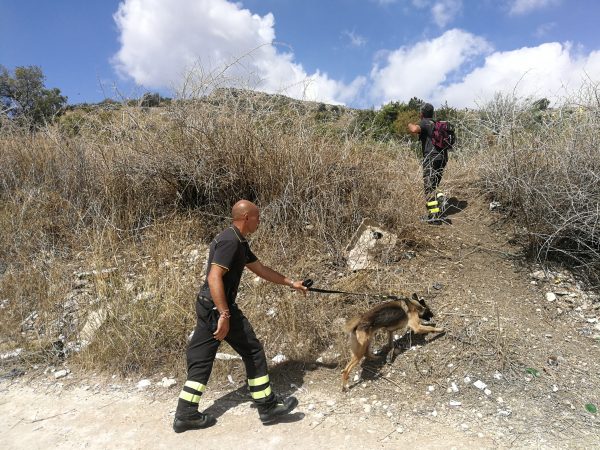 Caronia, 74enne in cerca funghi si perde nei boschi. Lo cercano Vigili del Fuoco e Forestale