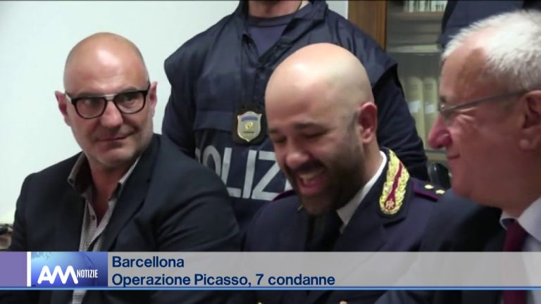 Operazione Picasso: 7 condanne e un’assoluzione