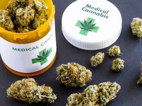 Sicilia, l’assessore alla sanità Razza apre all’uso della cannabis terapeutica