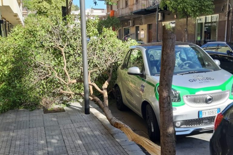 Forte vento a Capo d’Orlando, albero si spezza e cade su auto in sosta