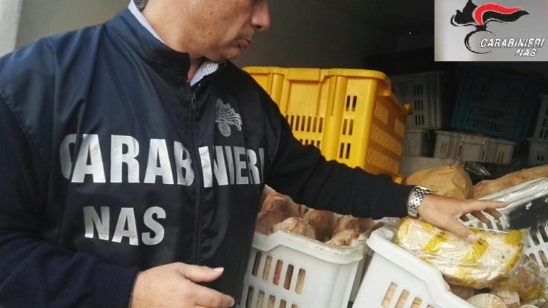 Operazione “Solstizio d’inverno”: i controlli nel settore agroalimentare