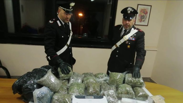 24enne nascondeva in casa 16 kg di marijuana e 32 grammi di cocaina, arrestato