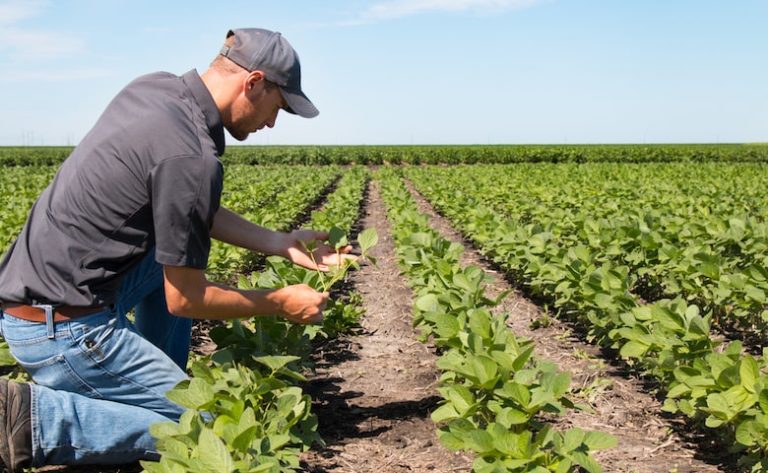 Regione – Agricoltura: bando per “filiere corte e mercati di nicchia”. 4 aziende tirrenico-nebroidee in graduatoria