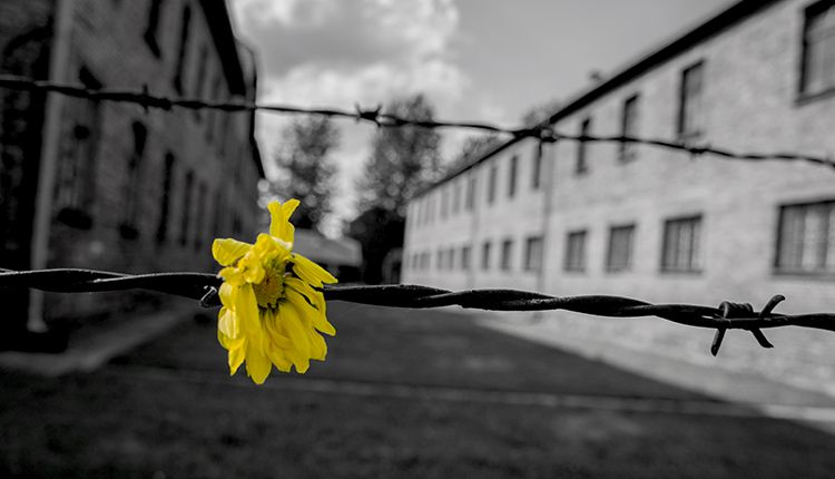 Capo d’Orlando: Giornata della Memoria, lunedì incontro in Biblioteca