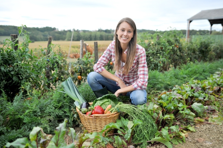 Agricoltura, primato della Sicilia per numero di under 35 titolari di aziende