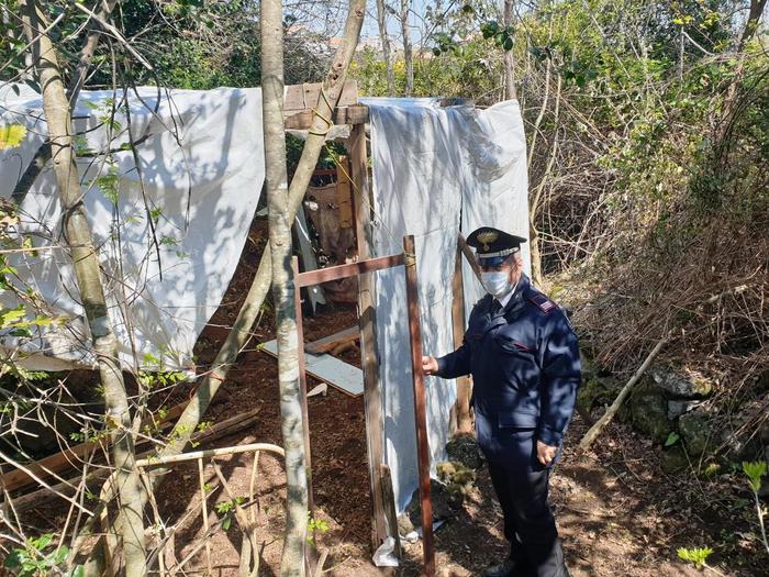 Stavano costruendo una baracca per barbecue di Pasquetta, sanzionati due giovani ad Acireale