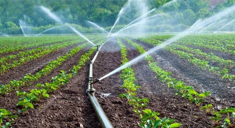 Furto d’acqua, Pignatone: mancanza di organizzazione, siciliani pagano il prezzo più alto