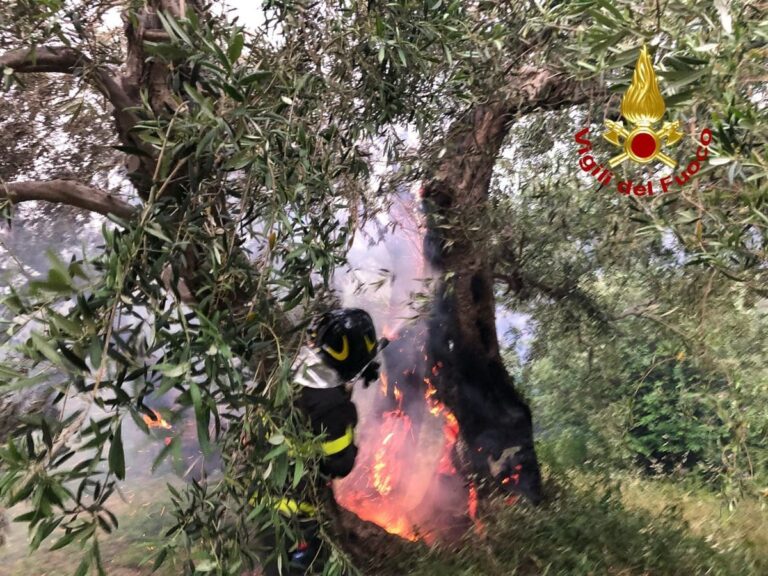 Messina, vari incendi sulla costa Tirrenica: al lavoro Dieci squadre dei Vigili del Fuoco