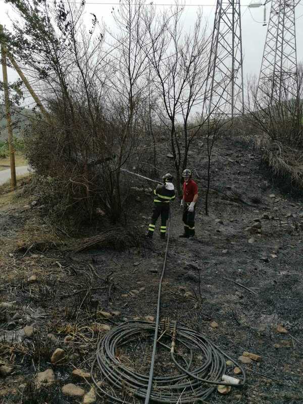 Reitano, violento incendio sulla S.S.113 domato dai Vigili del Fuoco