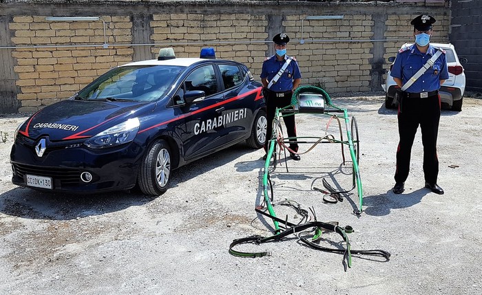 Cavallo muore durante una corsa clandestina, 16 denunciati a Catania