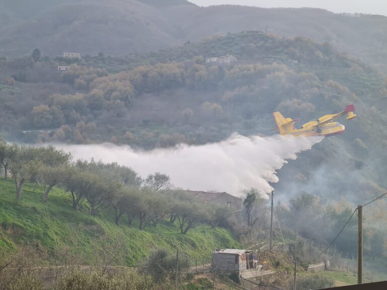 San Salvatore di Fitalia -Vasto incendio nel territorio questa mattina, fiamme domate dai Vigili del Fuoco
