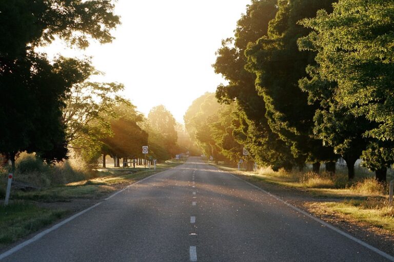 Strade provinciali tra Ficarra e Sinagra: la risposta del Prefetto Cosima Di Stani