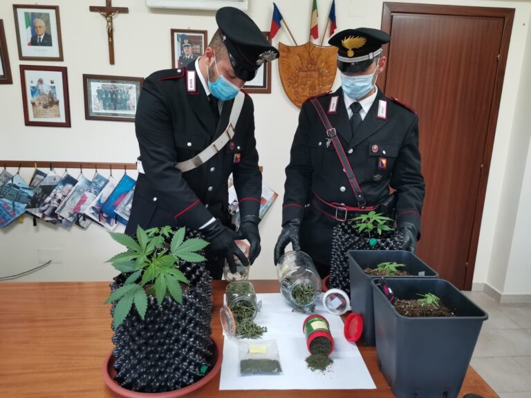 Taormina – Serra per cannabis dentro casa. 25enne arrestato dai Carabinieri