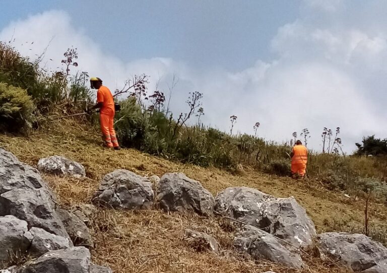 Tindari – Patti: area Coda di Volpe, disposti lavori per migliorare la fruibilità del sentiero