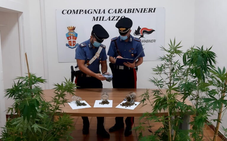 Pace del Mela – Coltivava piante di cannabis in una serra, arrestato 47enne