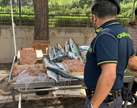 Termini Imerese – La Guardia di Finanza sequestra 18 kg di pesce senza tracciabilità