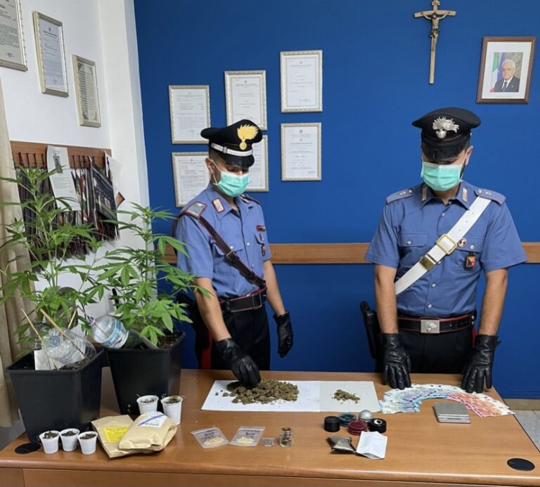 Gioiosa Marea – Coltivava cannabis in casa, denunciato 32enne