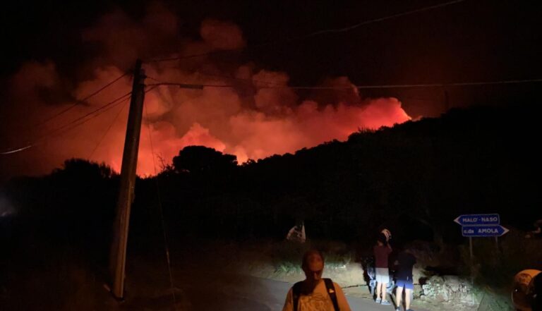 Incendio al bosco di Amola di Capo d’Orlando: “Prevenzione e pene esemplari!”
