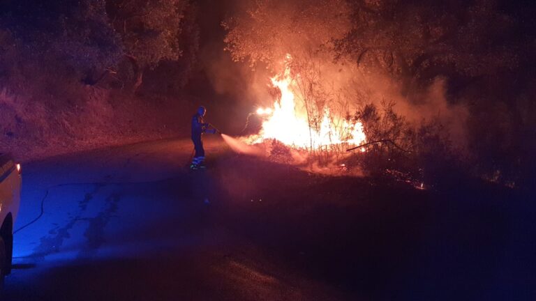 Naso – Incendio al bosco di Malò. Nanì: “Tanti danni, ma abbiamo evitato il peggio”