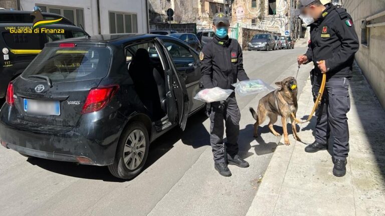 Palermo: sequestrati trentatré chilogrammi di cocaina nei pressi dello svincolo autostradale di Buonfornello