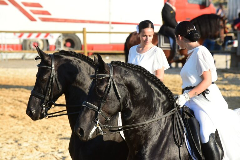 IV edizione Fiera Mediterranea del Cavallo: doppia location tra la tenuta di Ambelia e la “Favorita” di Palermo