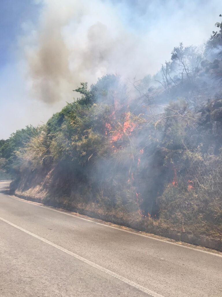 Vasto incendio tra Torrenova e San Marco d’Alunzio