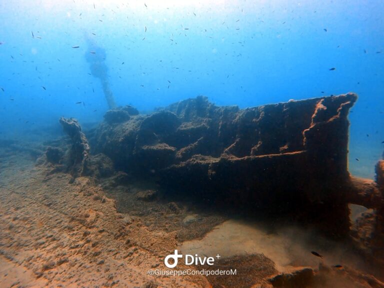 Identificato il relitto del “vaporetto” a Gliaca di Piraino: nel naufragio persero la vita 20 uomini