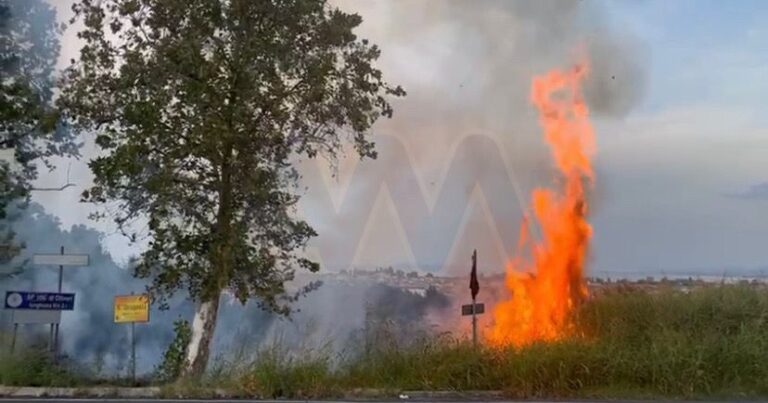 Oliveri – Incendio sulla SS 113, fiamme alte. Interviene la Protezione Civile