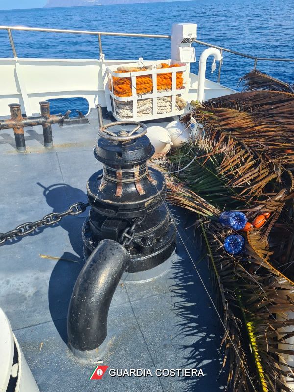 Milazzo: sequestrati 106 “cannizzi” e una tonnellata di materiale plastico