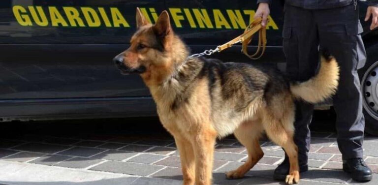 Smantellate due piazze di spaccio a Mazara del Vallo. 21 misure cautelari eseguite