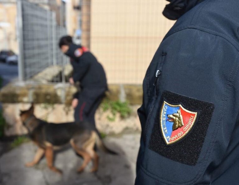Cani antidroga scovano crack e cocaina, nei guai 53enne di Torregrotta