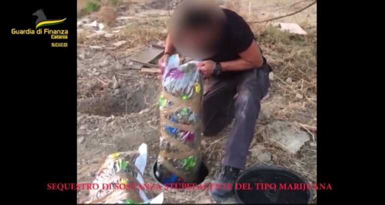 Maxi sequestro di marijuana a Catania: 435 kg e 11mila piante di cannabis. 21 indagati