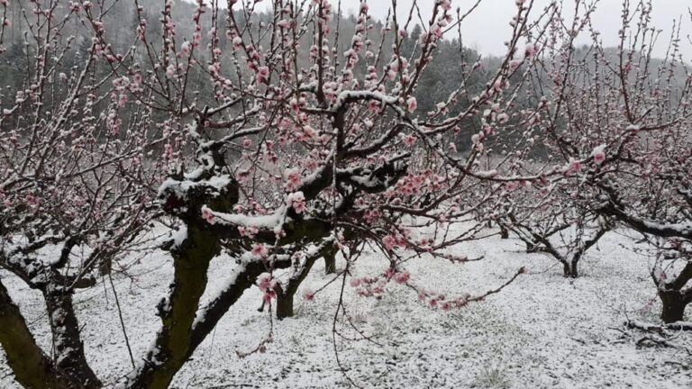 Meteo Sicilia – Primavera, sì, ma fino a sabato. L’inverno insiste per un ultimo saluto.