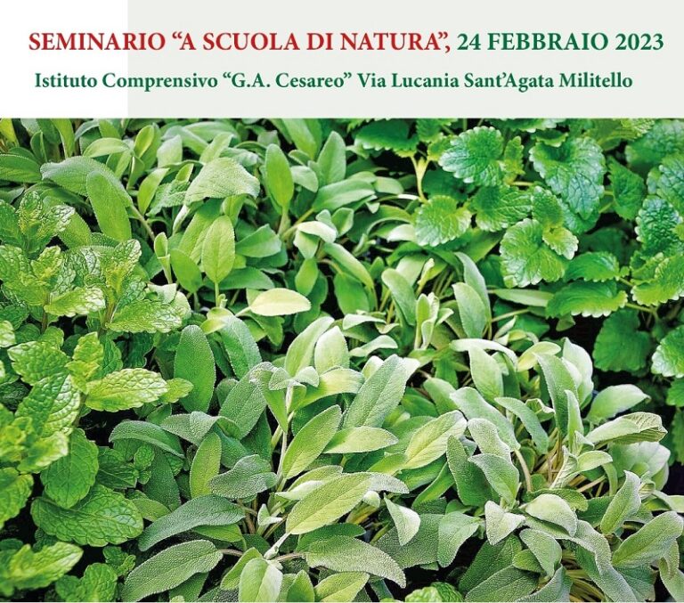 Sant’Agata Militello: un seminario sulla flora dei Nebrodi