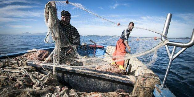 Pesca, bando da 3,5 mln di euro per riqualificare porti e borghi marinari