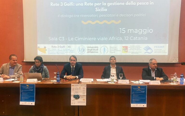 Regione: primo bilancio del progetto “Rete dei 3 Golfi – 3G” su Trapani, Patti e Catania